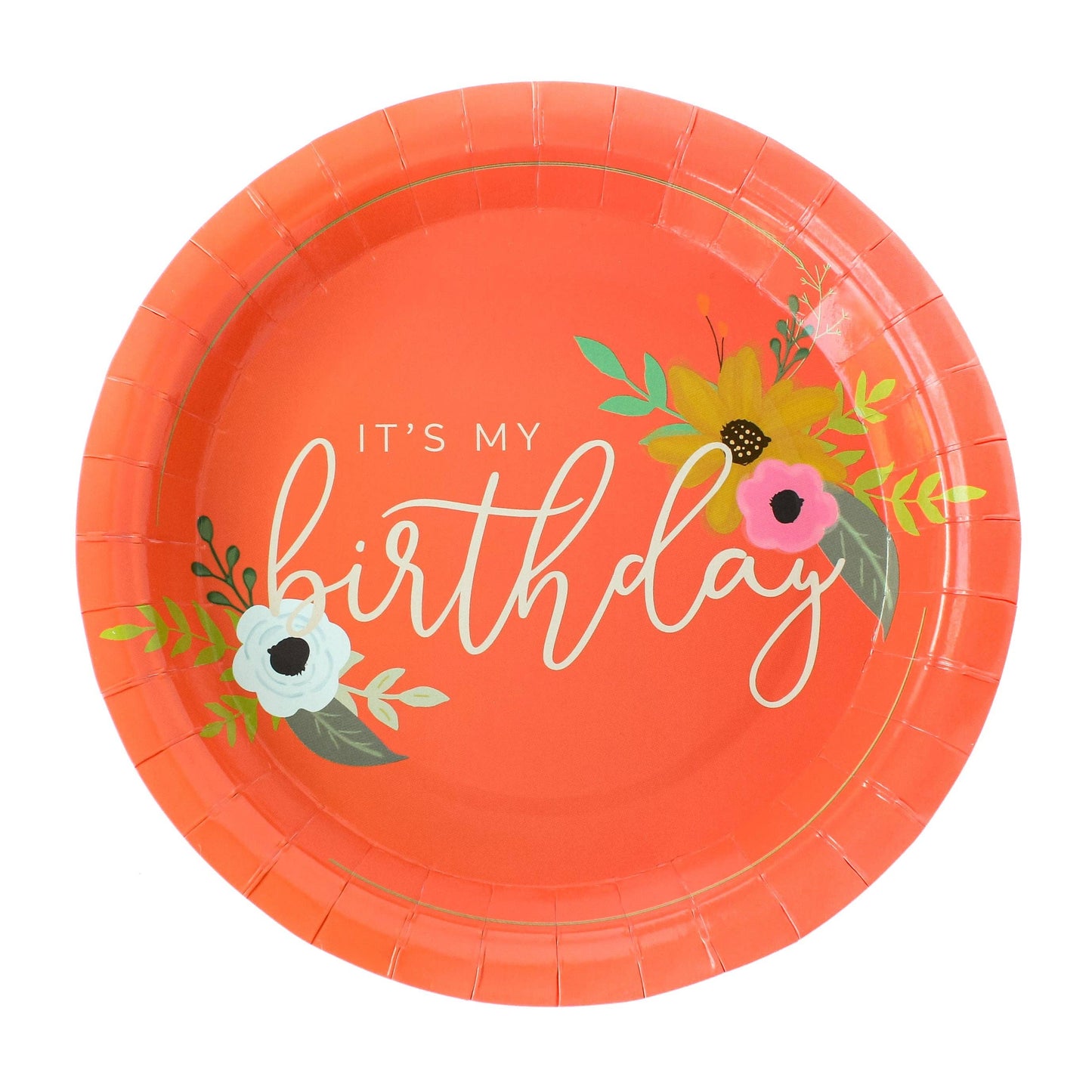 It's My Birthday Coral Party Plates